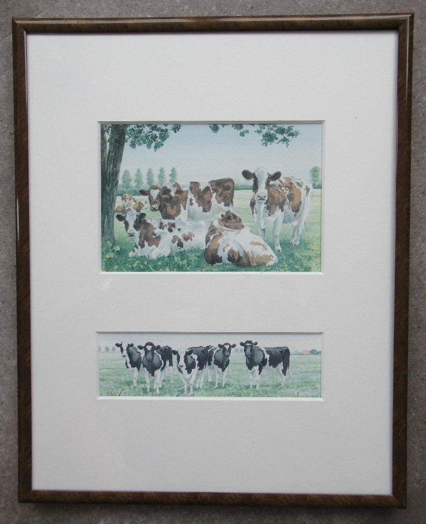 Wiebe van der Zee: roodbonte en zwartbonte koeien, Ophalen of Verzenden, Achter glas, Dieren, Papier