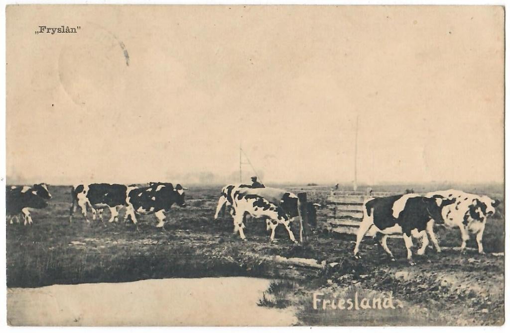 Fryslân, Verzenden, Voor 1920, Gelopen, Friesland