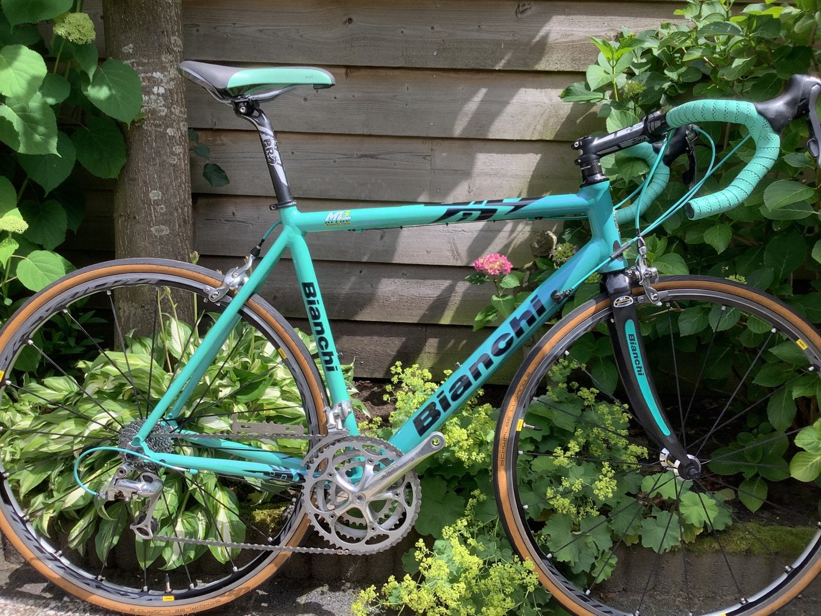 Bianchi race Shimano Ultegra 3x9 Ksyrium Elite S celeste, 28 inch, Gebruikt, Velgrem, Aluminium