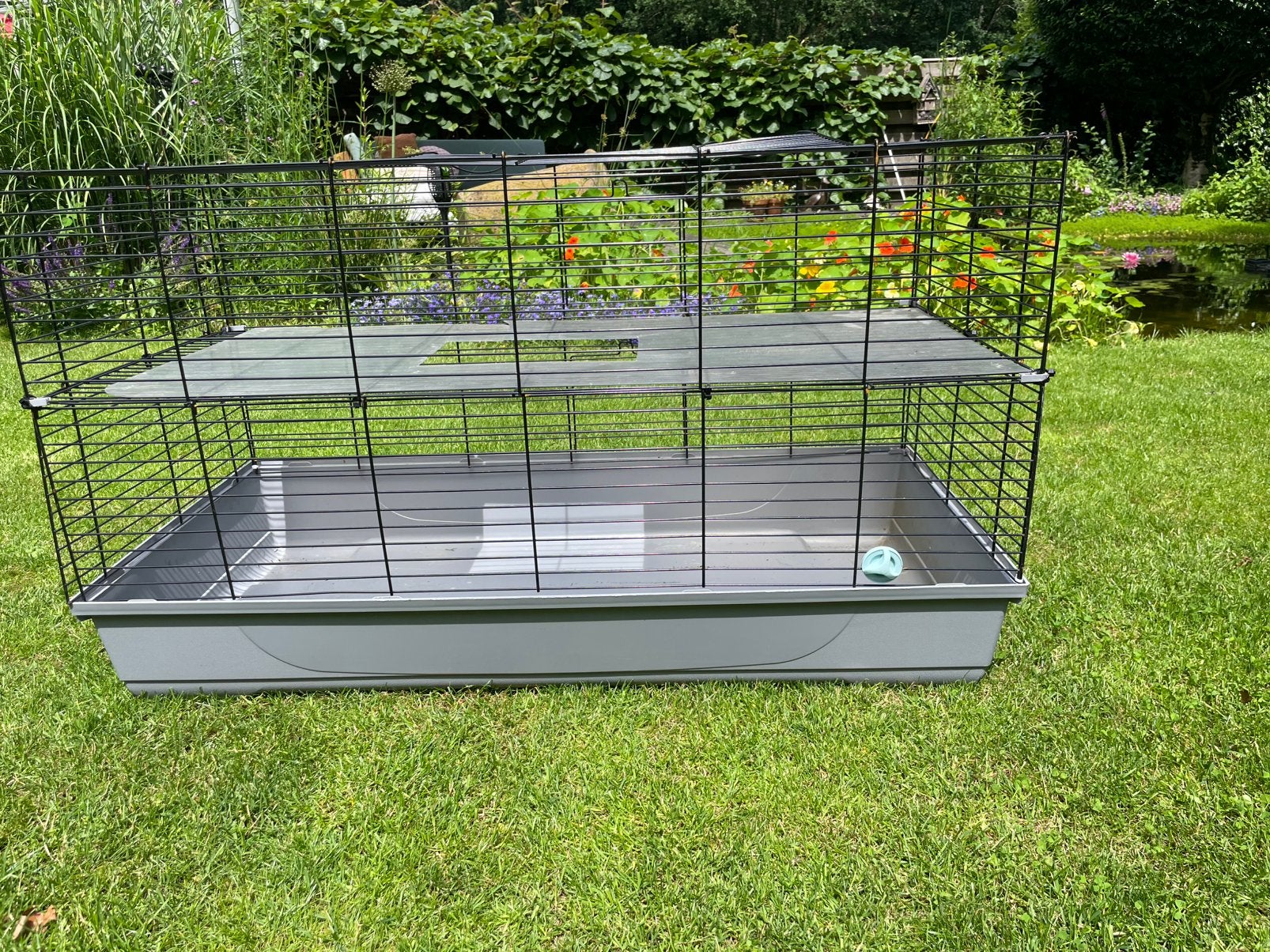 Konijn of cavia of kuiken hok, Ophalen, Konijn, 60 tot 90 cm, Hok