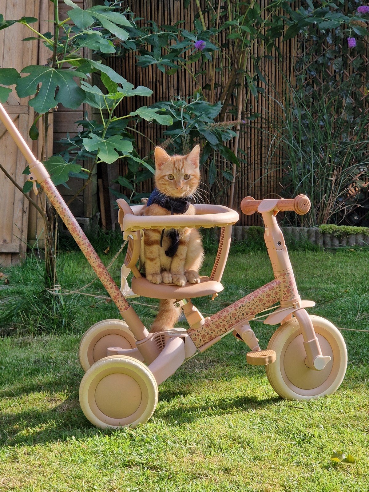 Little Dutch 4-in-1 loopfiets/driewieler, Fietsen en Brommers, Ophalen of Verzenden, Zo goed als nieuw, Little Dutch, Terugtraprem