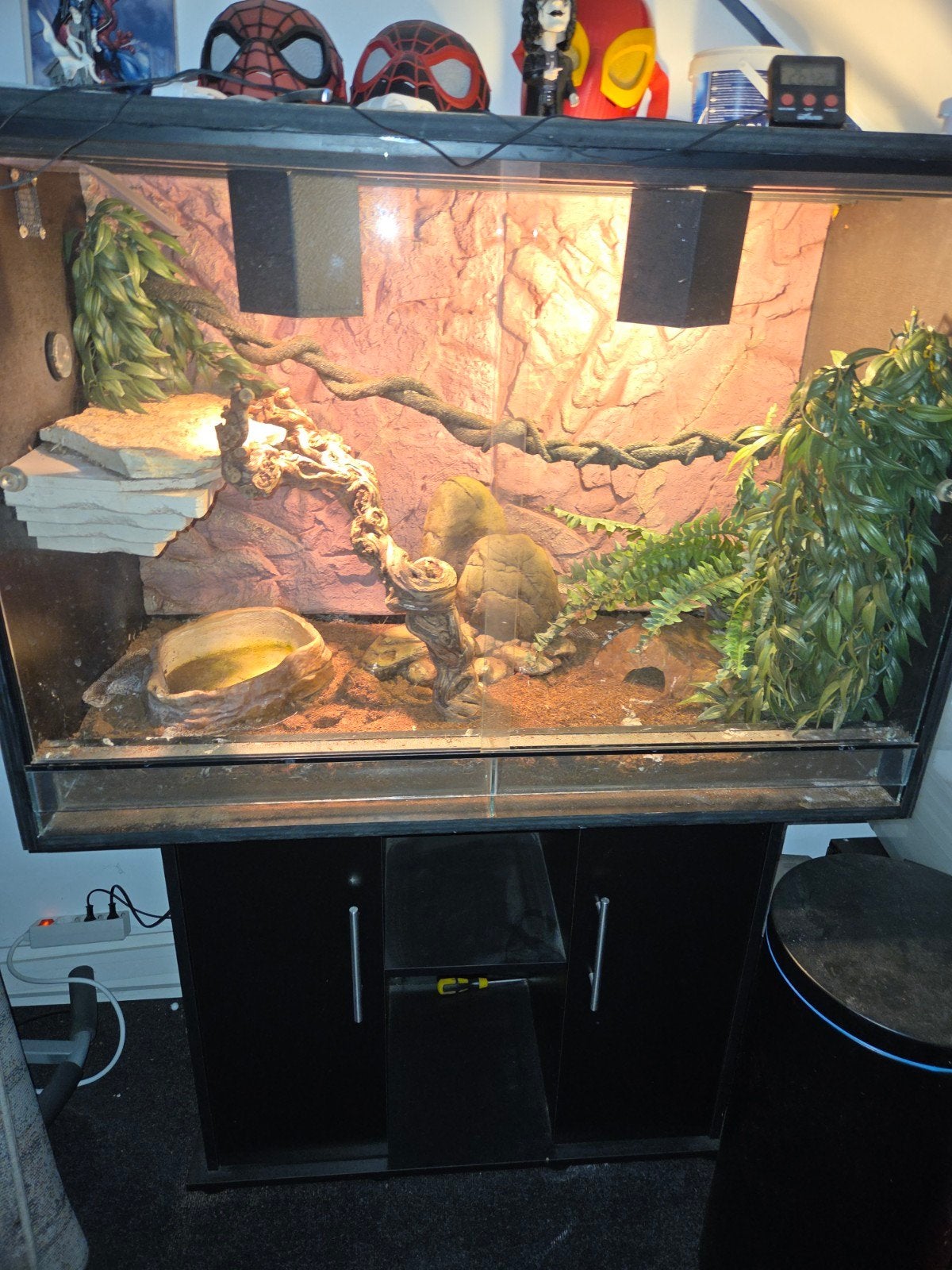 Terrarium 1000x600x500, Ophalen