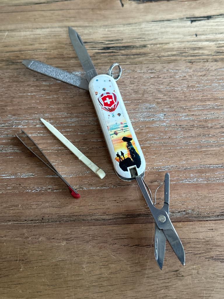 Victorinox Mini Zakmes met Schaar en Vijl - Gebruikt, Ophalen of Verzenden, Gebruikt