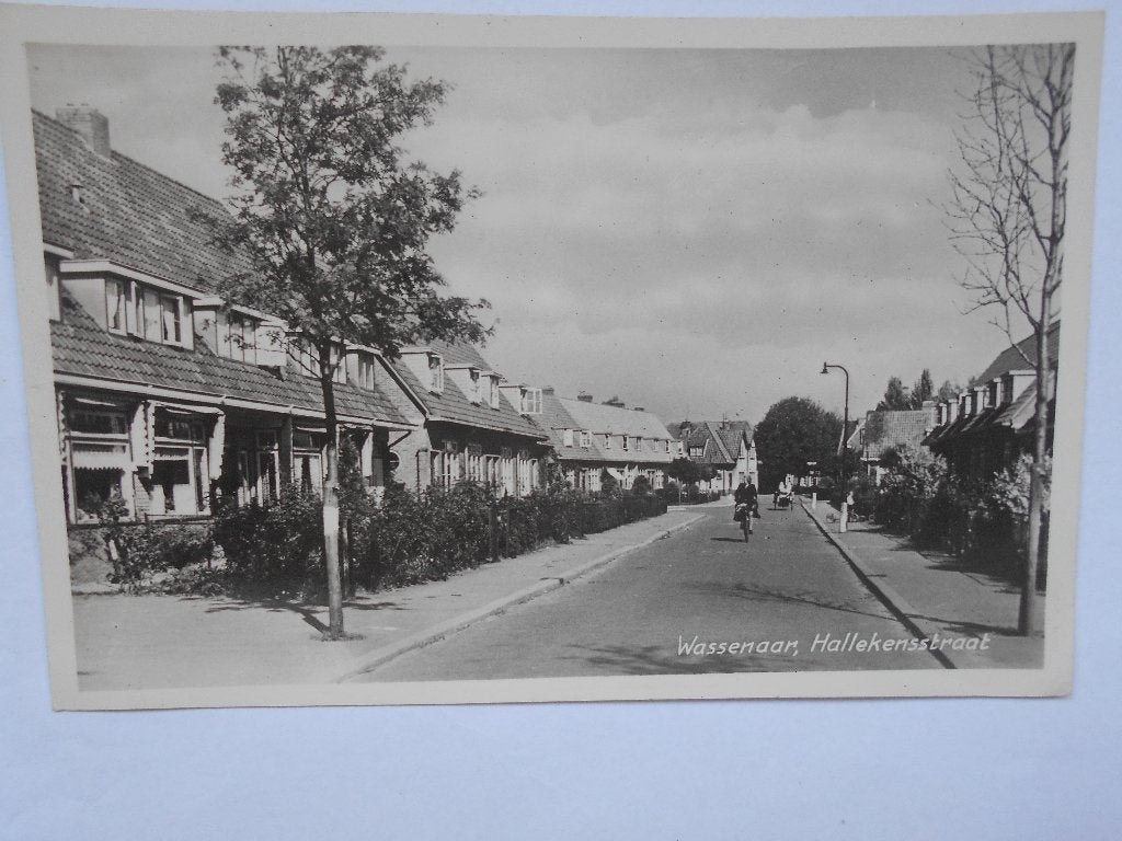 Wassenaar Hallekensstraat mooi Wassenaar in de zestigerjaren, Ophalen of Verzenden, 1940 tot 1960, Ongelopen, Zuid-Holland