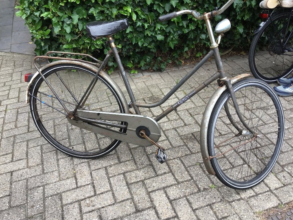 Damesfiets, Overige merken, Terugtraprem, Gebruikt, 56 cm of meer