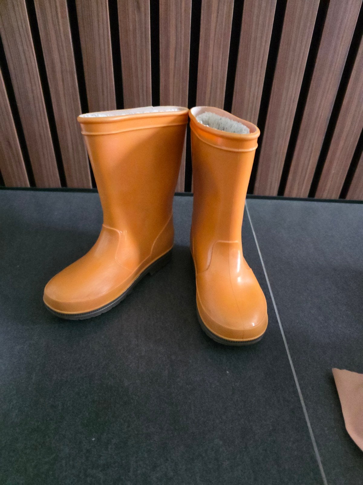 Regenlaarzen kind maat 26-27 met uitneembare voering, Ophalen of Verzenden, Gebruikt, Jongen of Meisje, Laarzen