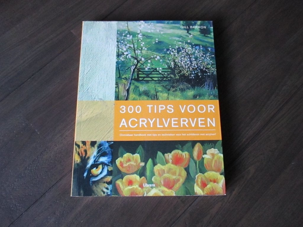 acryl verven 300 tips, Ophalen of Verzenden, Zo goed als nieuw, Acrylverf