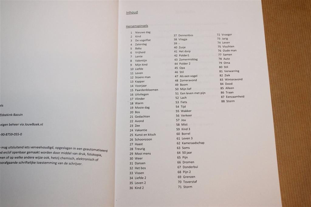 Hersenspinsels — Gedichten over het Leven en Gevoelens, Boeken, Ophalen of Verzenden, Gelezen, Overige onderwerpen, Achtergrond en Informatie