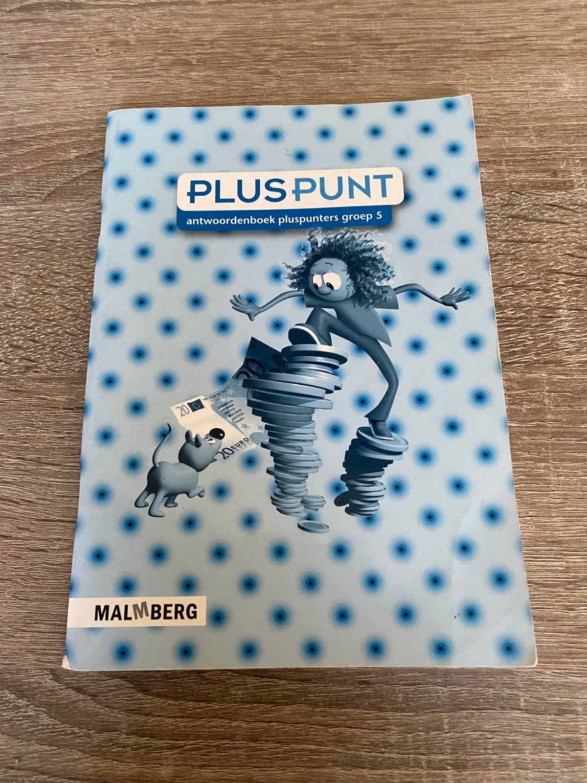 Pluspunters groep 5 - Antwoordenboek, A. van Gool, Ophalen of Verzenden, Zo goed als nieuw, Nederlands