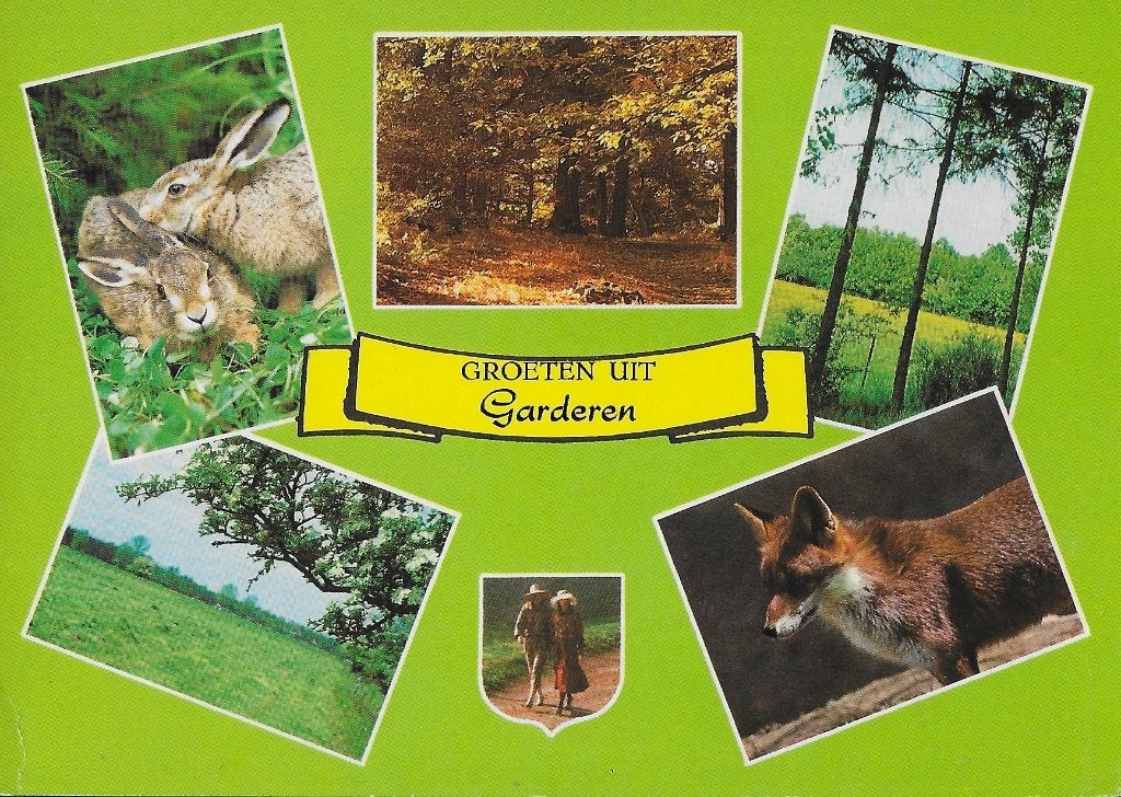 A5 ongelopen ansichtkaart groeten uit garderen, Ophalen of Verzenden, 1980 tot heden, Gelopen