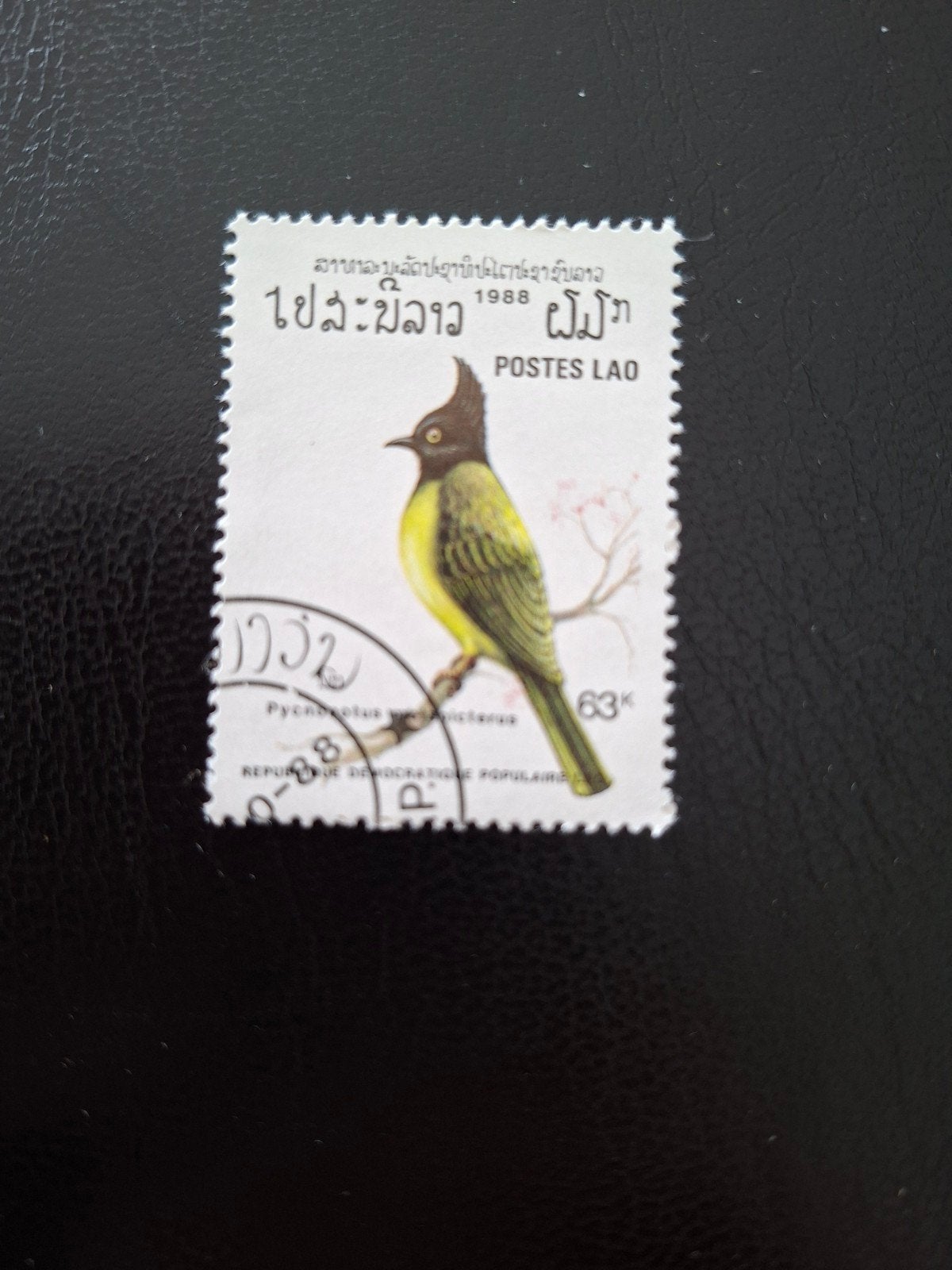 Laos. Vogel., Ophalen of Verzenden, Zuidoost-Azië
