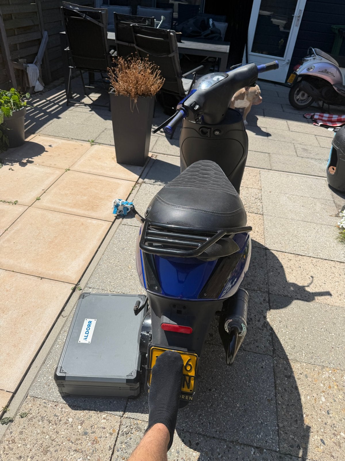 Zip 172cc Malossi - Volledig Nieuwe Setup, Ophalen, Zo goed als nieuw, Maximaal 45 km/u