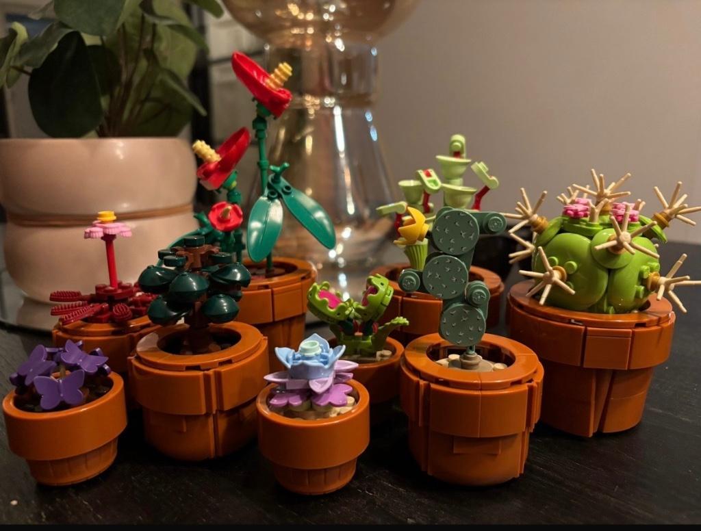 Lego miniplantjes ICONS, Compleet, Lego, Nieuw, Ophalen of Verzenden