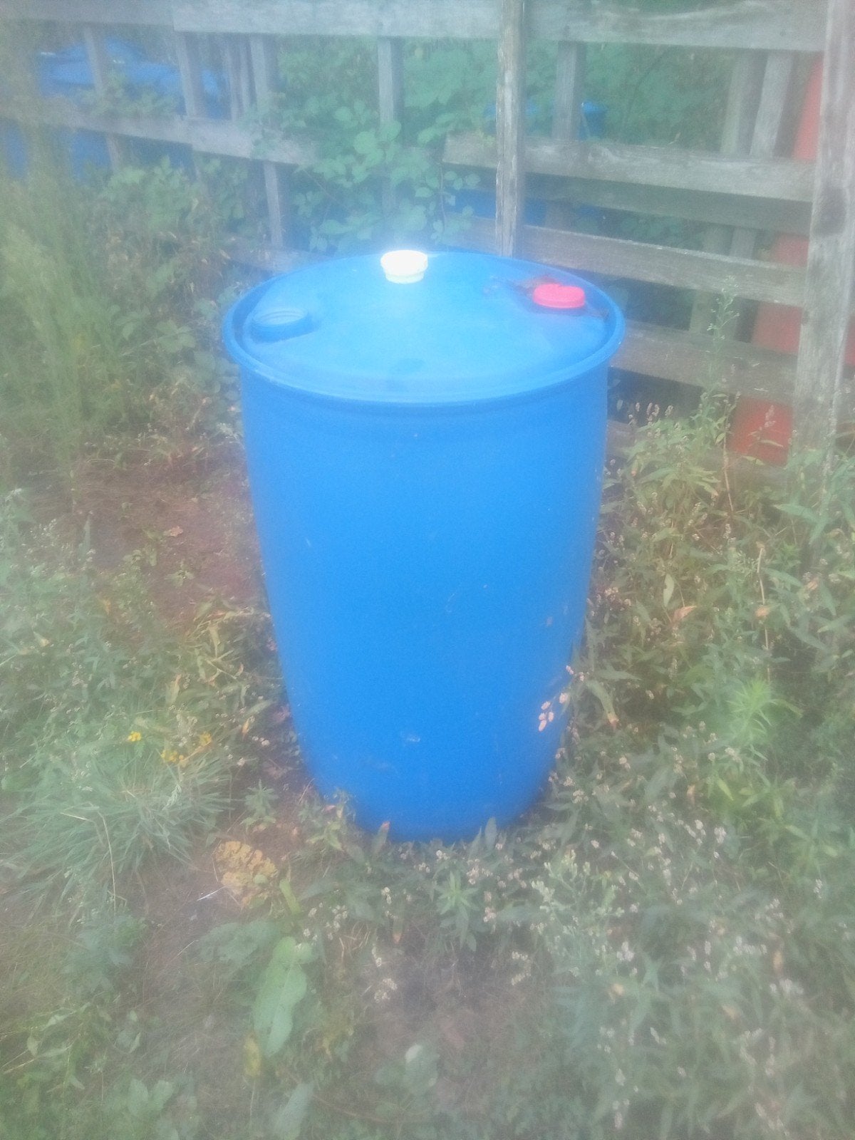 Regenton blauw - 150 liter of meer, 150 liter of meer, Ophalen, Gebruikt, Kunststof