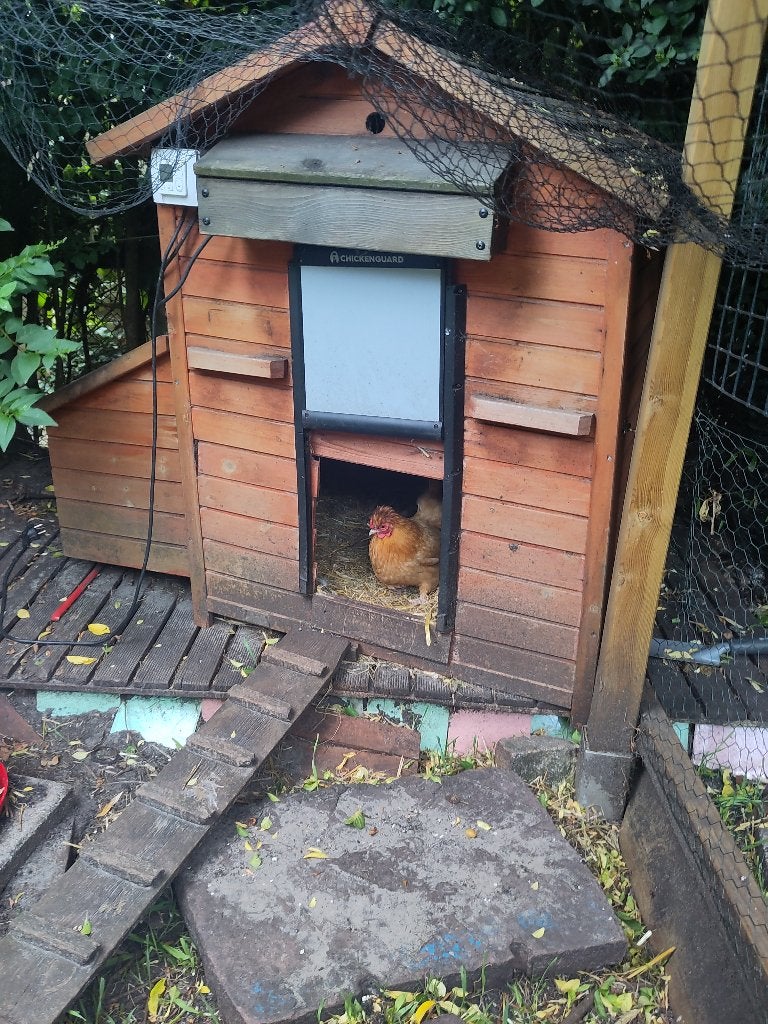 Kippenhok, Dieren en Toebehoren, Pluimvee | Toebehoren, Ophalen, Gebruikt, Kippenhok of Kippenren