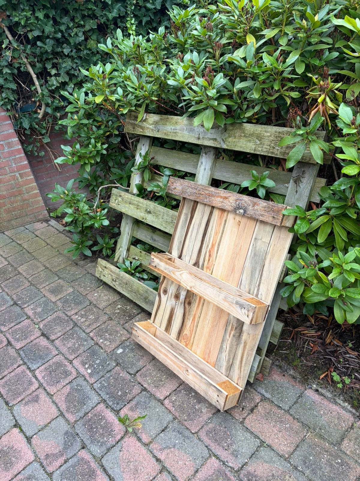Pallets gratis, Ophalen, Gebruikt, Pallet, Minder dan 200 cm