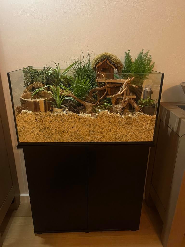 Hamsterbak voor hamsterscaping incl alle toebehoren, Zo goed als nieuw, 75 tot 110 cm, Ophalen, Minder dan 60 cm