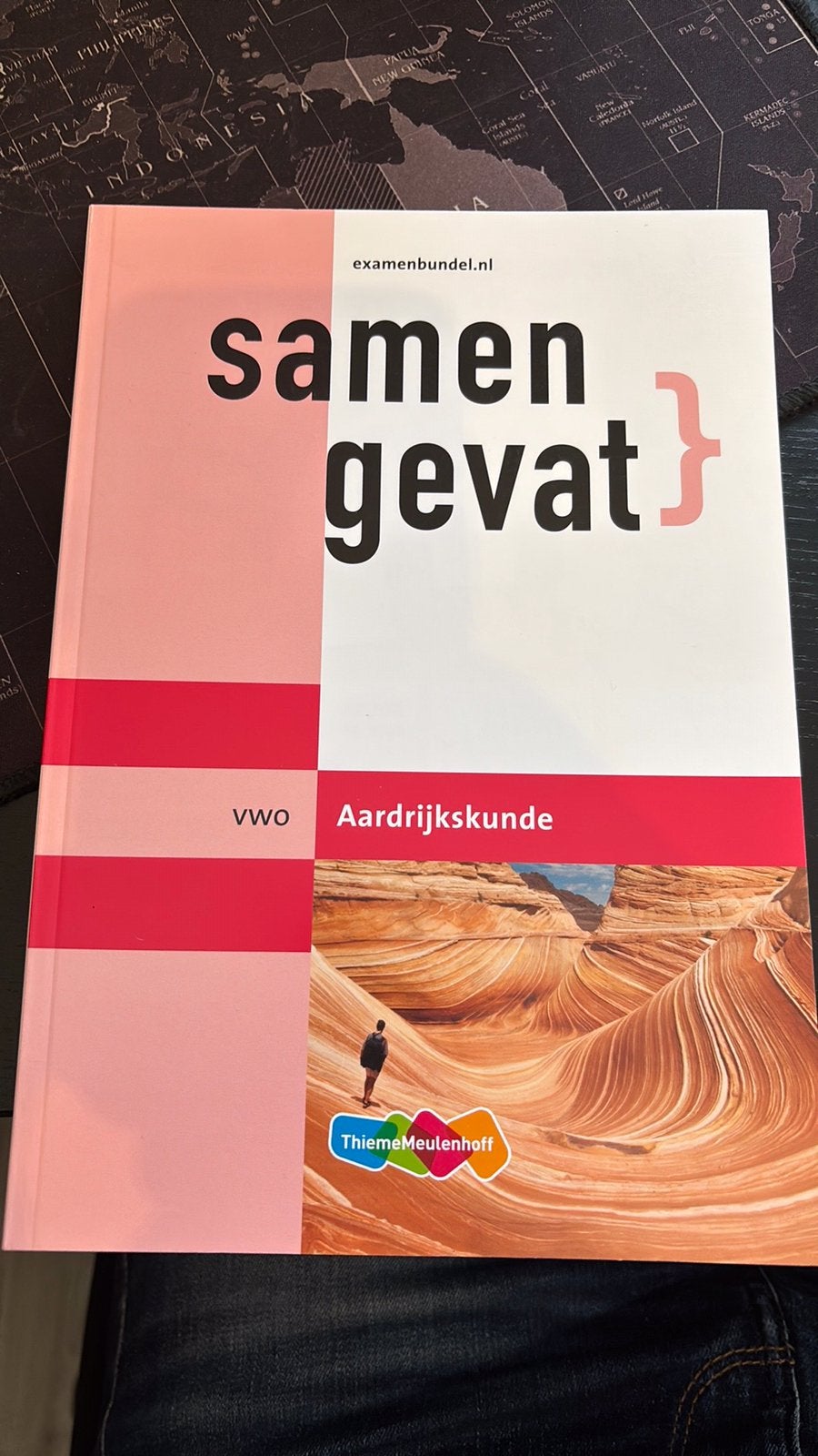 Samengevat VWO Aarderijkskunde 2024, Ophalen of Verzenden, Zo goed als nieuw, Overige niveaus