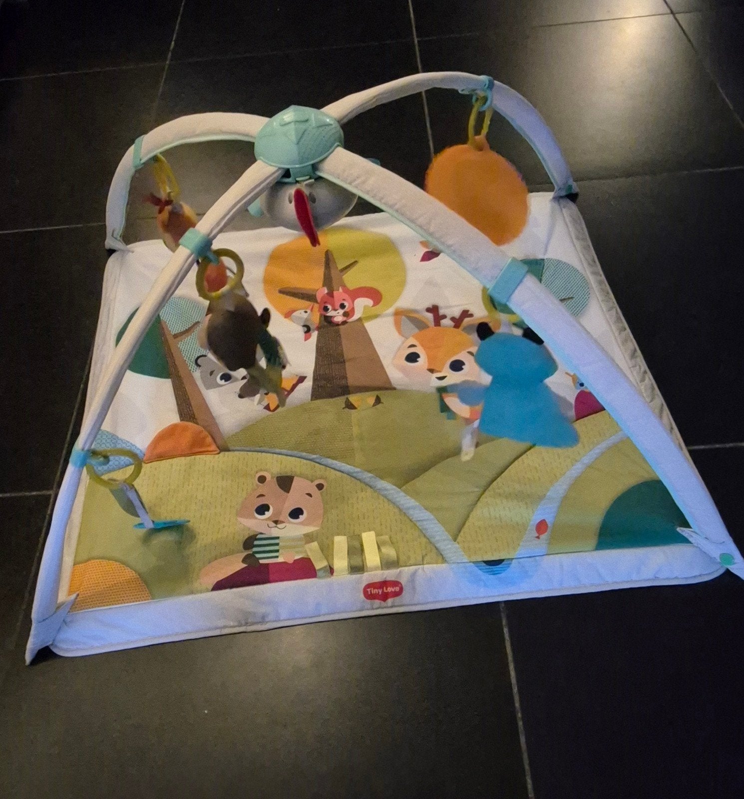 Tiny Love Speelkleed met Babygym en Muziek, Ophalen of Verzenden, Gebruikt, Speelkleed, Met licht