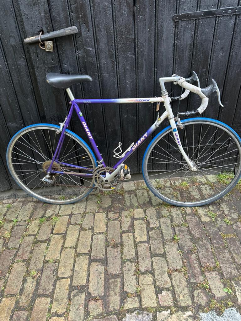 Giant Speeder, Zo goed als nieuw, 53 tot 57 cm, 10 tot 15 versnellingen, Staal