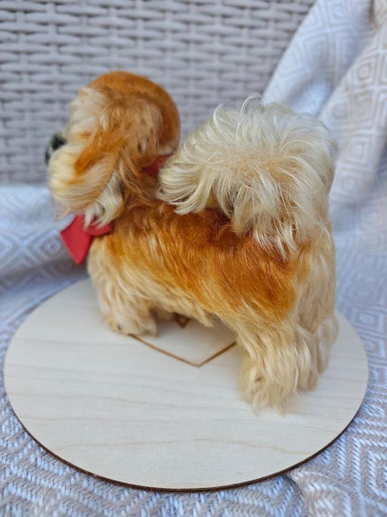 Steiff Pekinees vintage 14 cm knop label originele staat, Ophalen of Verzenden