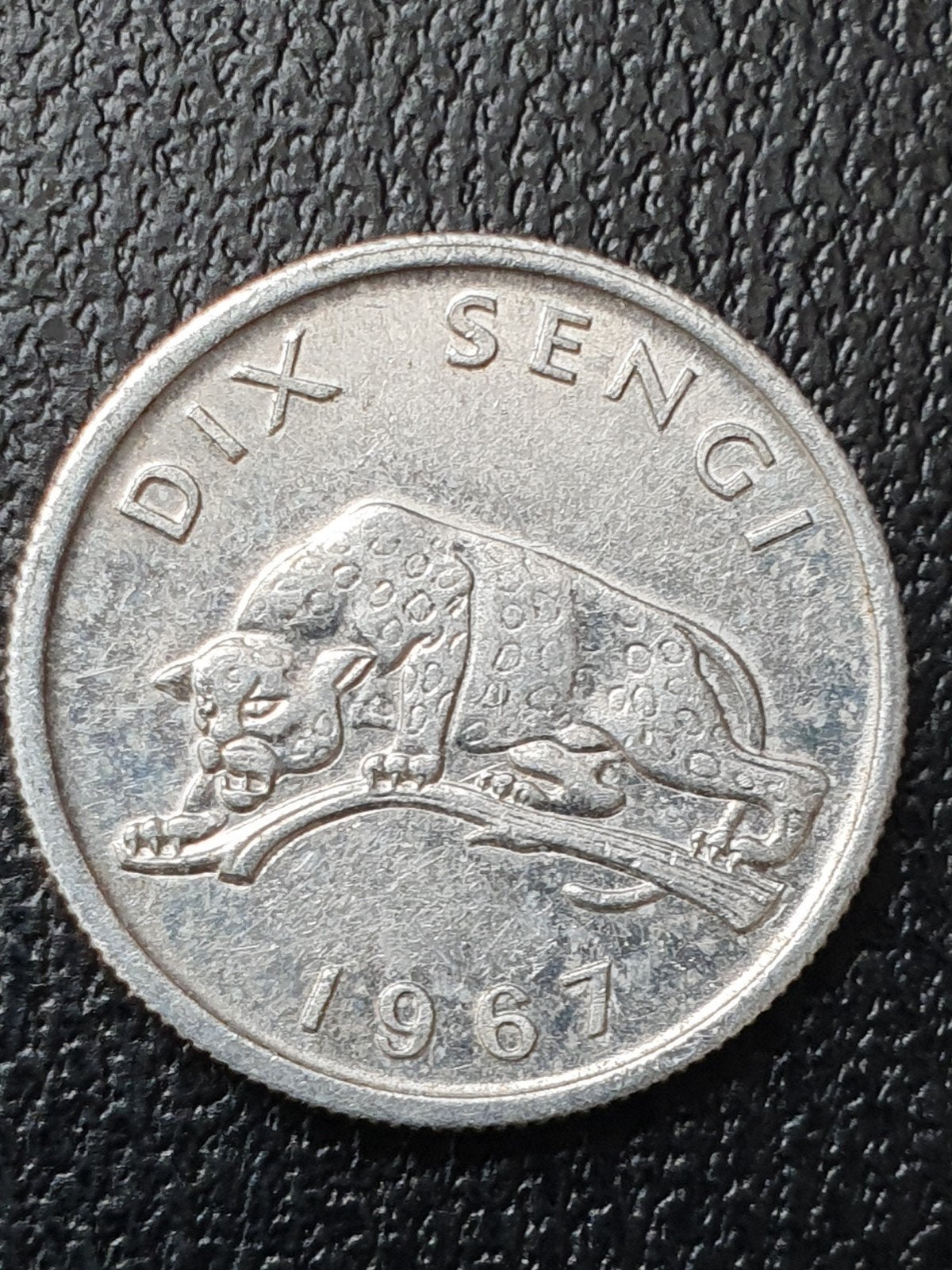 10 sengi munt uit 1967 Congo, Ophalen of Verzenden, Overige landen, Losse munt