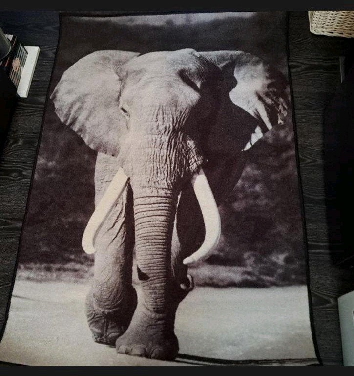 mooie vloerkleed olifant, 100 tot 150 cm, Nieuw, Rechthoekig, 50 tot 100 cm