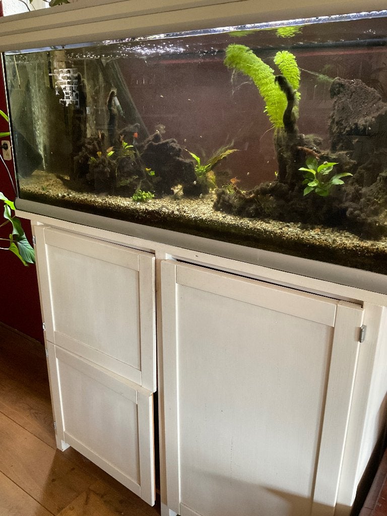 Aqualantis. Aquarium, Dieren en Toebehoren, Ophalen, Gebruikt, Aquatlantis, Gevuld zoetwateraquarium