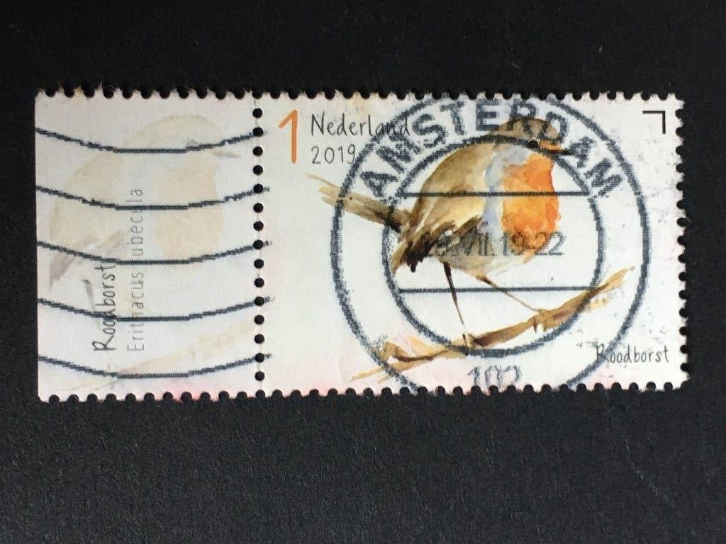 2820 Nederland 2019 NVPH 3745 Roodborst *LEES* - gestempeld, Ophalen of Verzenden