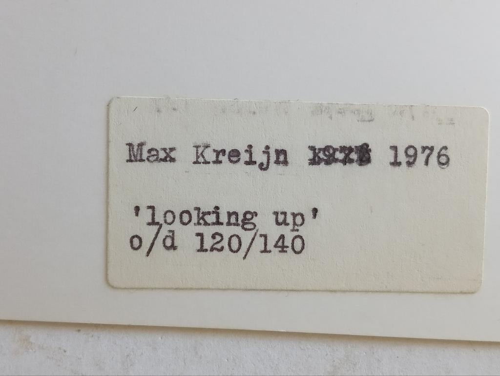 Max Kreijn persfoto Looking up realisme 1976, Ophalen of Verzenden