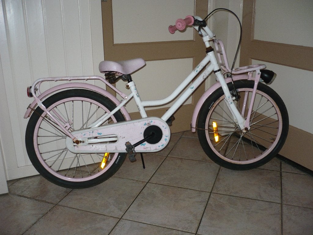 Mooie 20 inch meisjesfiets met rek, Ophalen, Terugtraprem, Gebruikt, Handrem