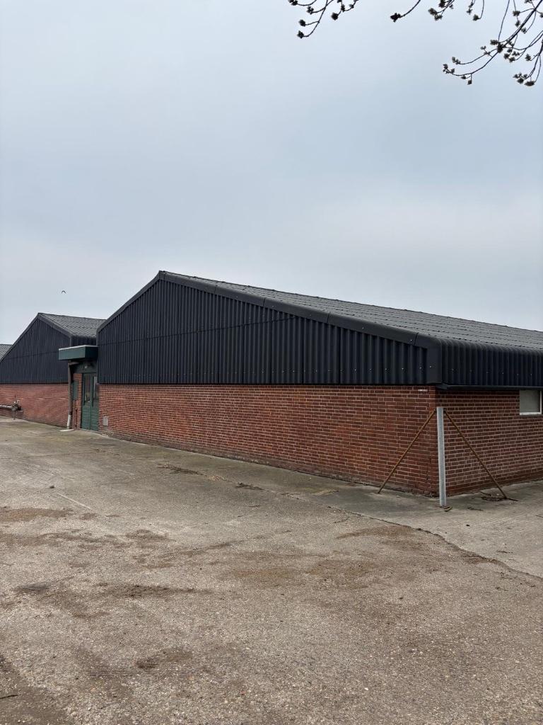 Golfplaten van 2021 [450], Boekhorst Trading, Info@boekhorsttrading.com, Singel 16