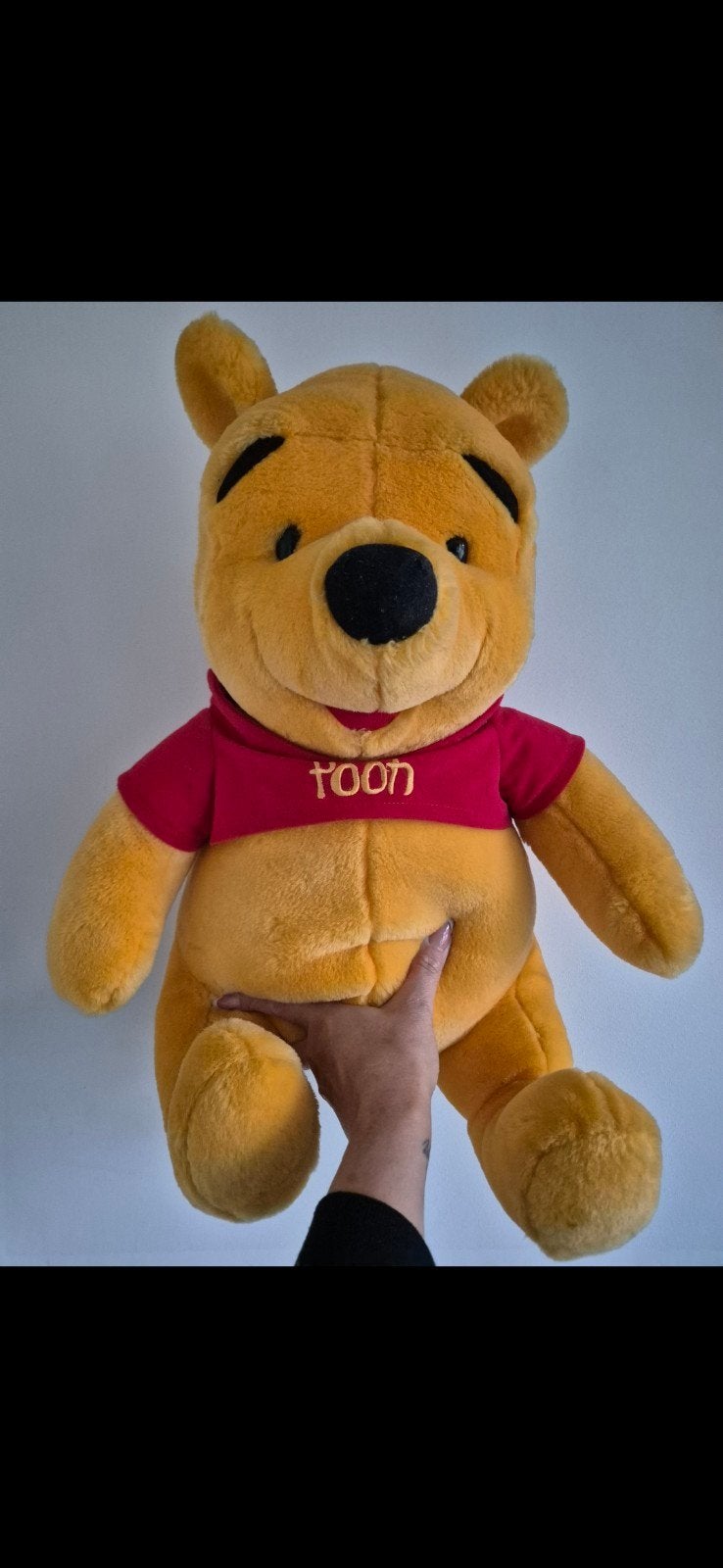 Grote winnie the pooh knuffel, Ophalen