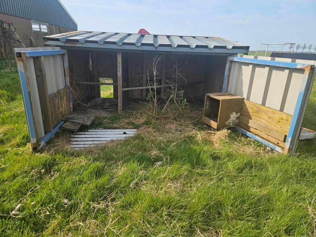 Schapen/kippenhok, Meerdere dieren, Schaap