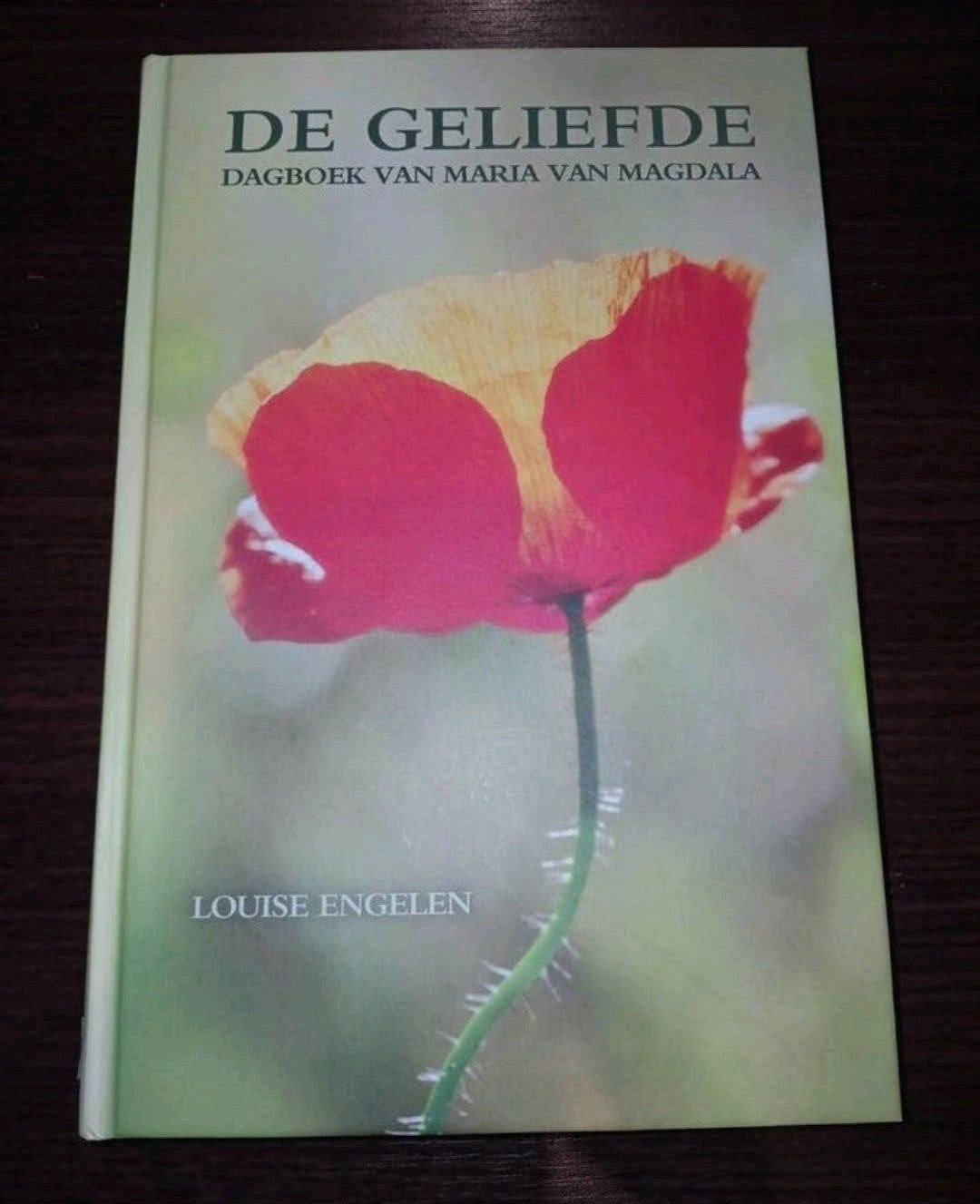 De Geliefde - Dagboek van Maria van Magdalena VASTE PRIJS, Boeken, Ophalen of Verzenden, Zo goed als nieuw, Louise Engelen, Spiritualiteit algemeen