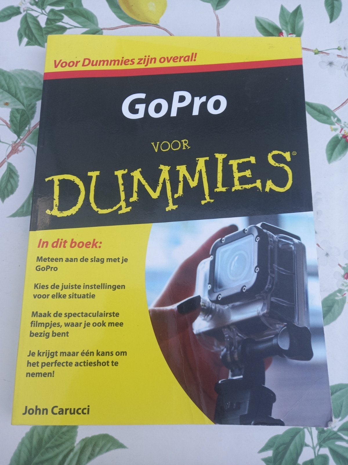 A John Carucci - GoPro voor dummies, Boeken, Hobby en Vrije tijd, Fotograferen en Filmen, John Carucci, Ophalen of Verzenden, Zo goed als nieuw