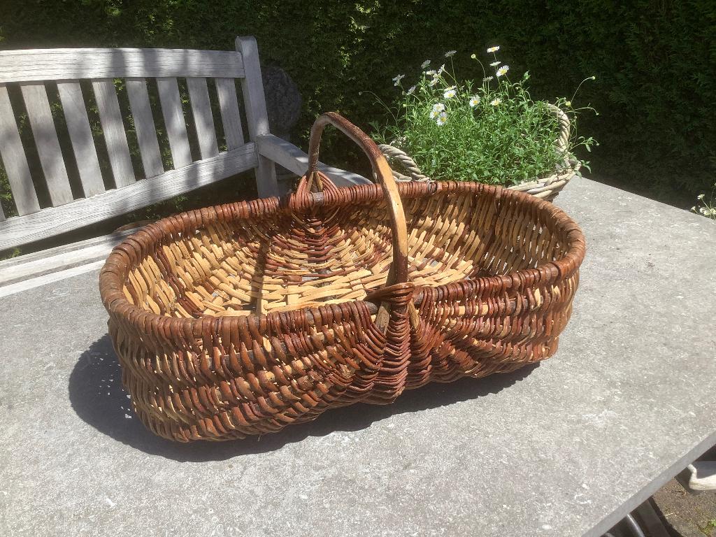 Rieten oogstmand, Ophalen