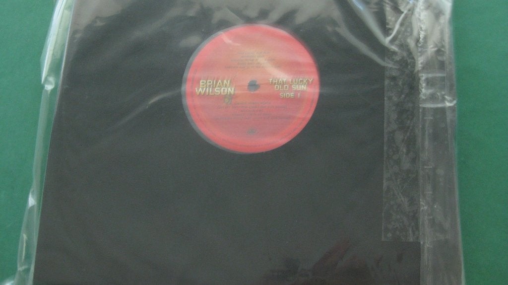 LP beschermingshoezen met LP Brian Wilson, 2010 - 2019, Ophalen of Verzenden, 12 inch, Nieuw in verpakking