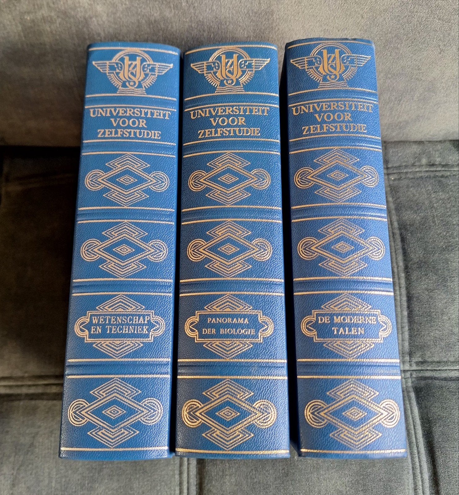 Universiteit voor zelfstudie 3 boeken, Boeken, Ophalen, Zo goed als nieuw