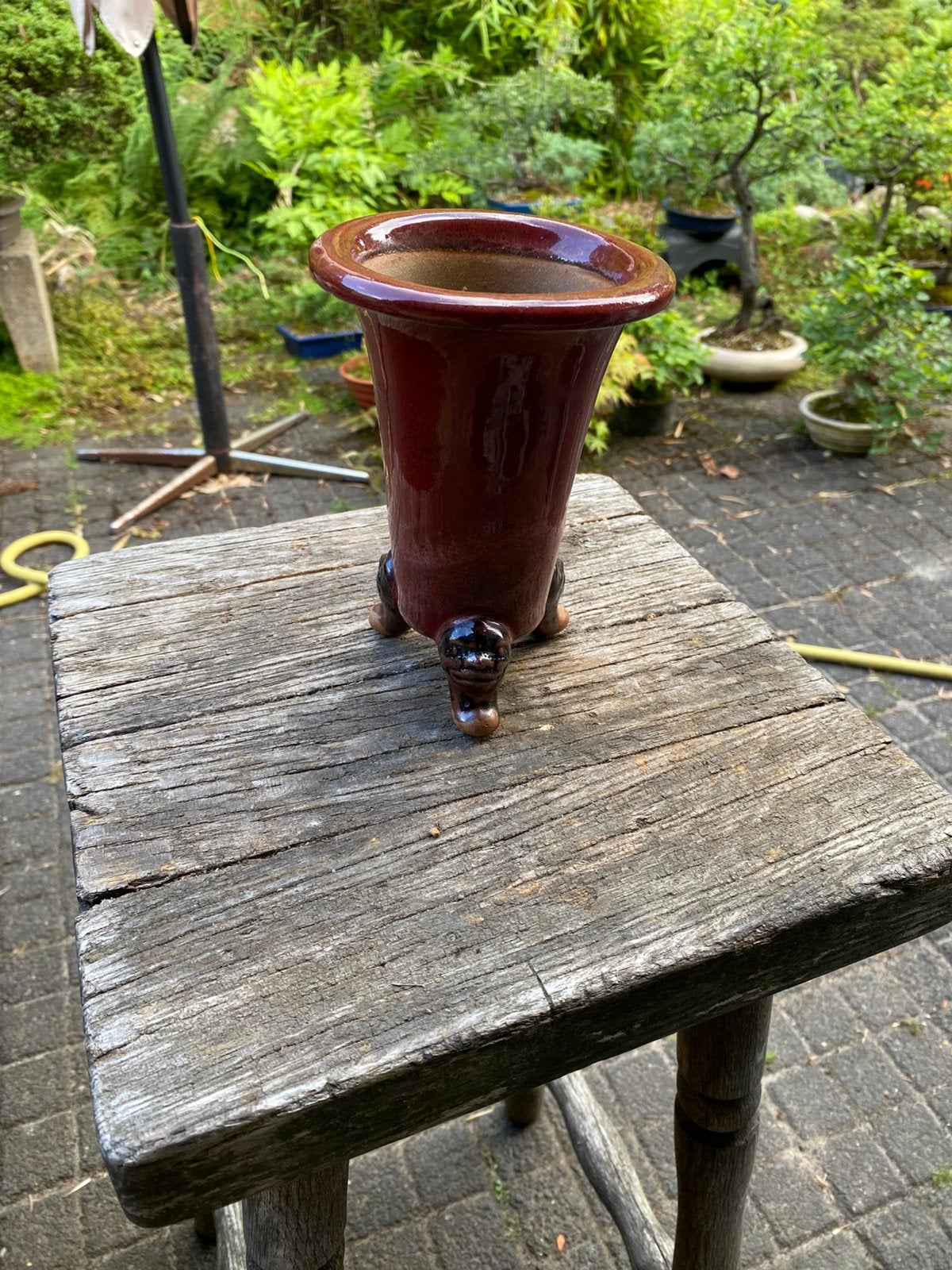 Cascade bonsai, Ophalen of Verzenden, Zo goed als nieuw