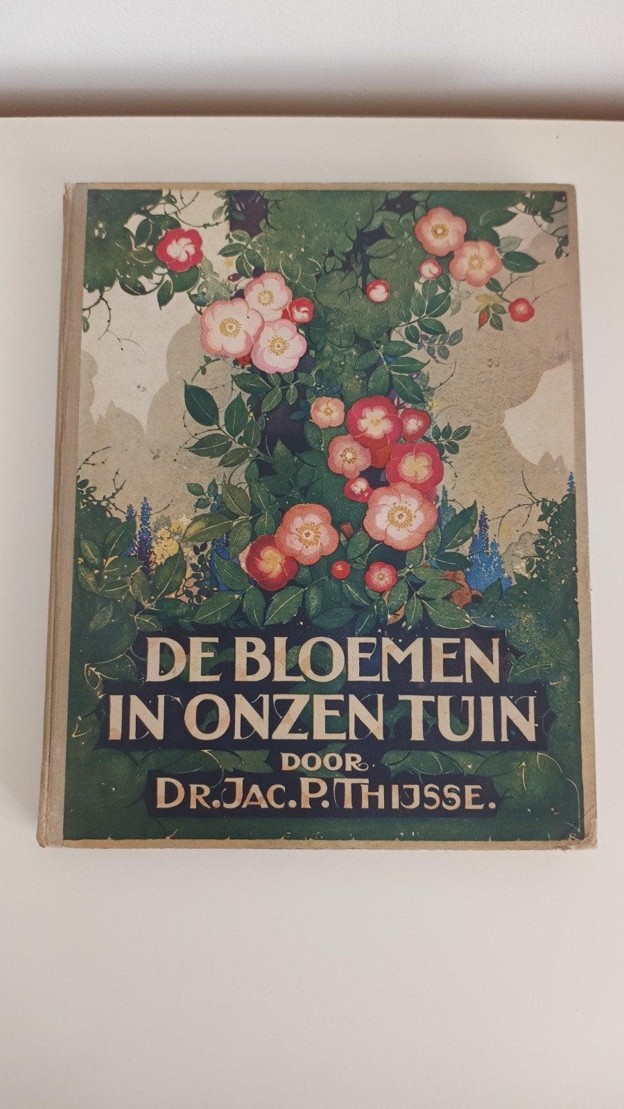 De bloemen in onzen tuin Verkade plaatjesalbum 1926 Thijsse, Ophalen of Verzenden, Jac. P. Thijsse, Plaatjesalbum