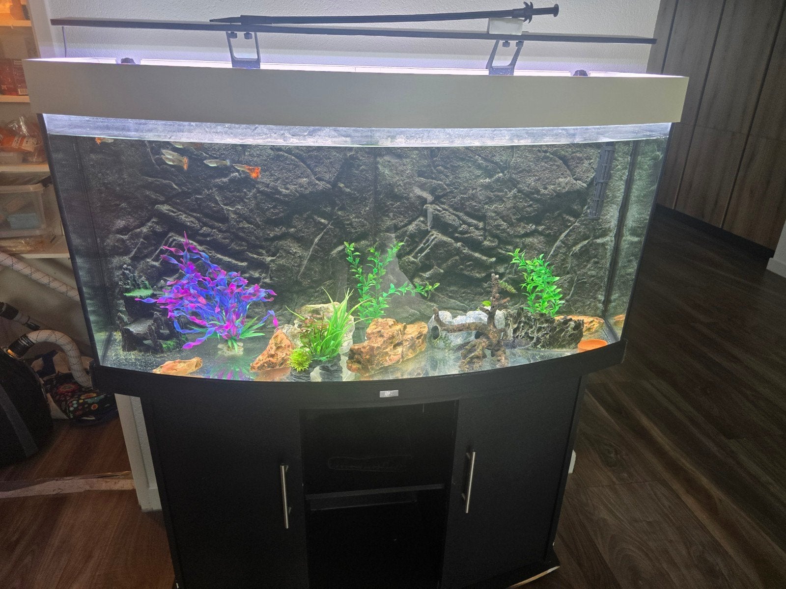 Aquarium juwel 260 liter, Dieren en Toebehoren, Ophalen