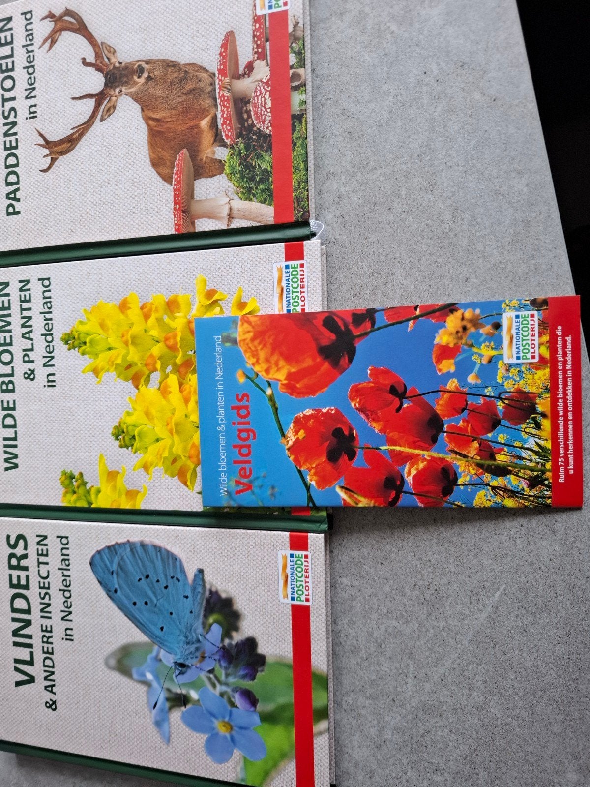 Veldgids Wilde Bloemen & Planten in Nederland, Boeken, Natuur, Ophalen of Verzenden, Zo goed als nieuw, Bloemen, Planten en Bomen