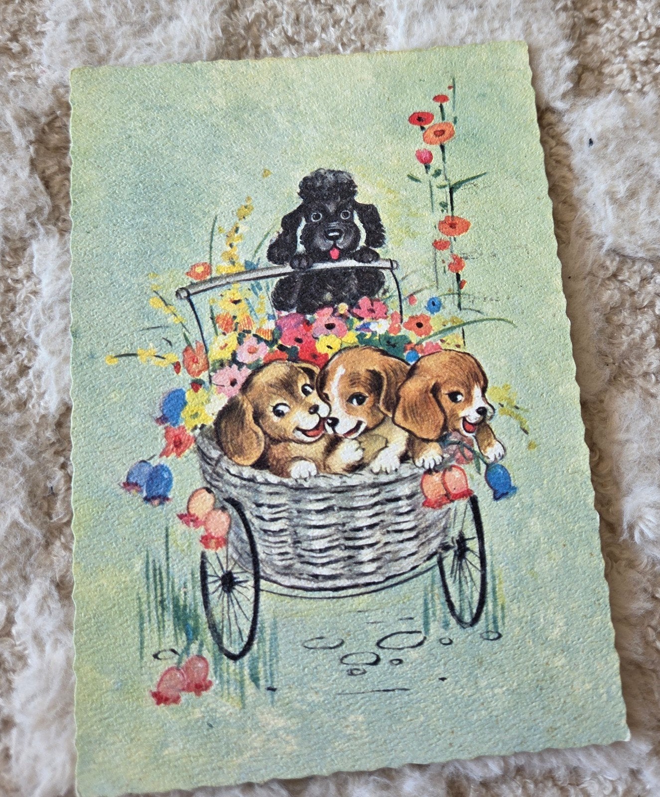 Schattige Puppy's in Bloemenmand, Verzenden, 1960 tot 1980, Gelopen, Kinderen