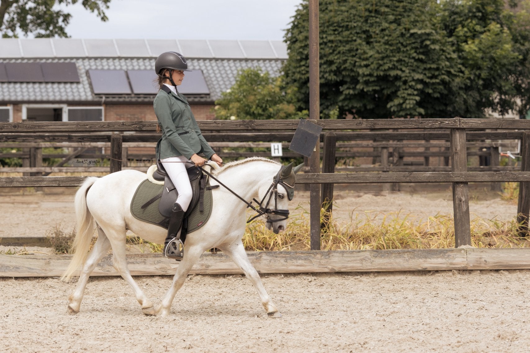 Welsh ruin , bixie proof !, Merrie, 3 tot 6 jaar, B pony (1.17m tot 1.27m), Recreatiepony