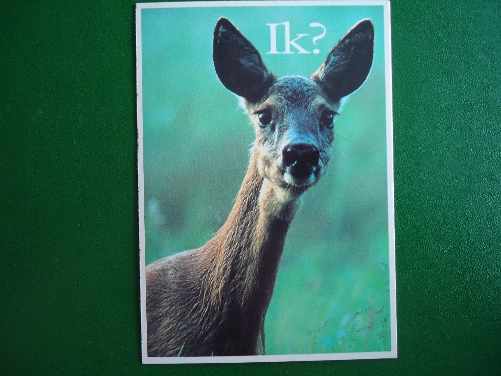(609) Dierenkaart: HERT, Verzamelen, Verzenden, 1980 tot heden, Ongelopen, Overige soorten