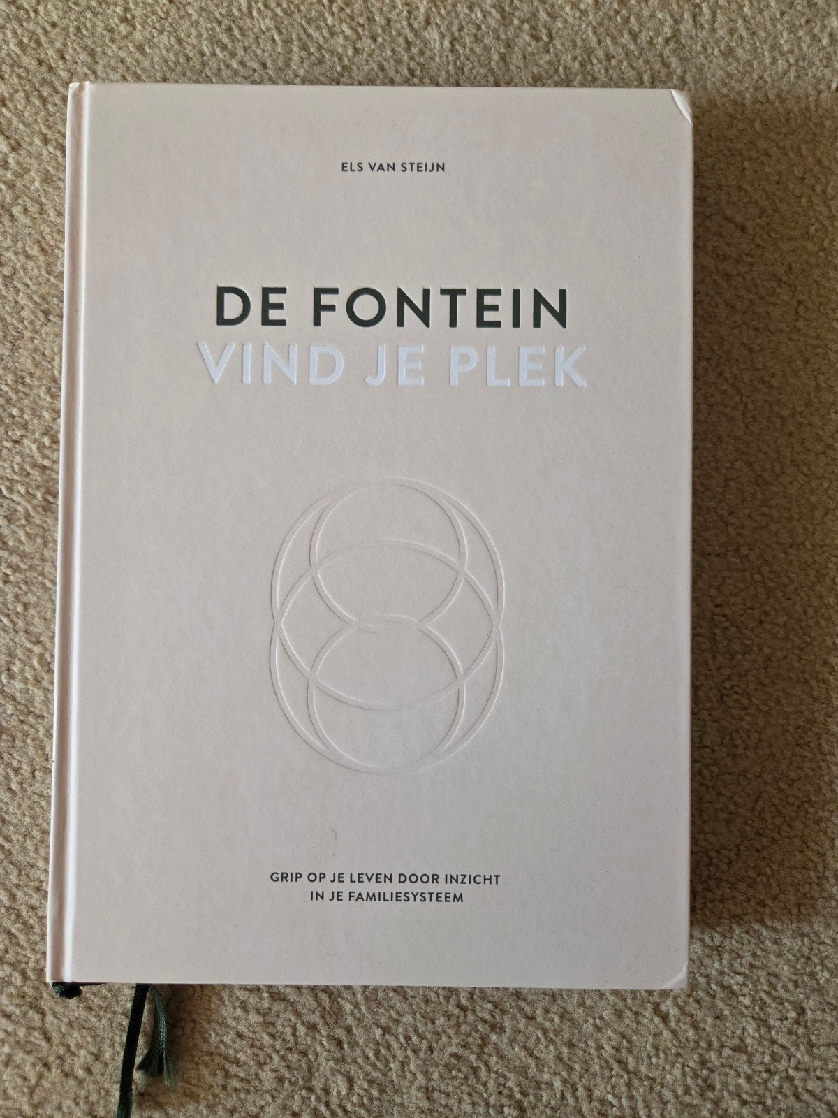 De Fontein - Vind je plek - Els van Steijn, Ophalen of Verzenden, Zo goed als nieuw, Els van Steijn