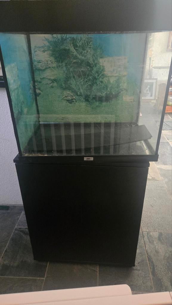 Aquarium Lido 120 met kast en alles voor starterspakket, Dieren en Toebehoren, Vissen | Aquaria en Toebehoren, Ophalen of Verzenden