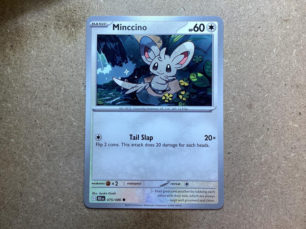 1x Minccino [BLK 075/086] (Near Mint), Ophalen of Verzenden, Zo goed als nieuw, Losse kaart