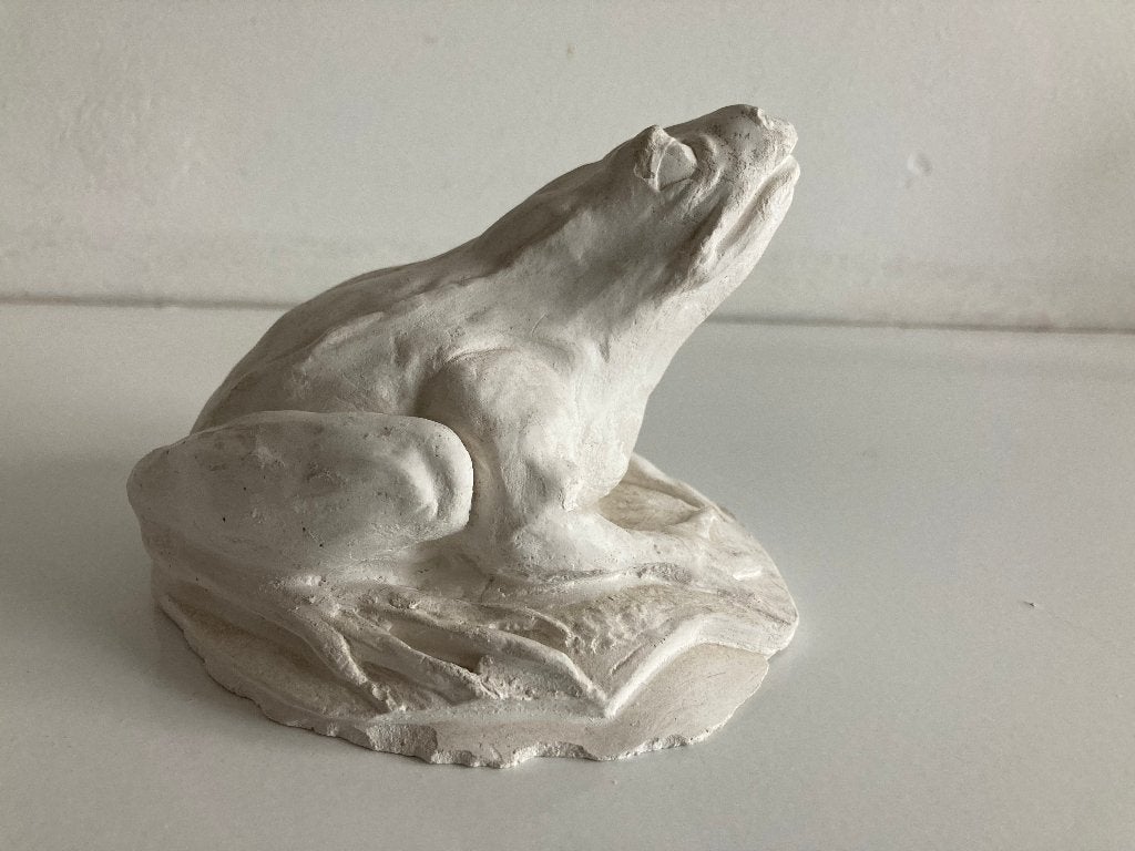 Witte kikker - gips - nieuw, Ophalen of Verzenden, Nieuw, Dier